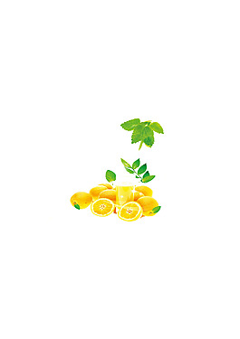 柠檬薄荷叶素材