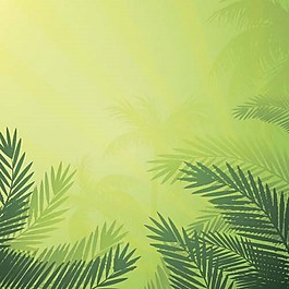 綠色樹葉背景素材