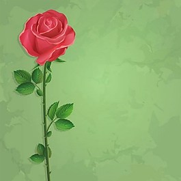 玫瑰花背景素材