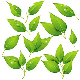 葉子背景素材