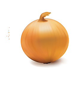 矢量卡通洋蔥EPS