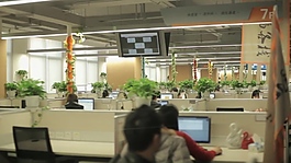 實拍人物辦公視頻素材
