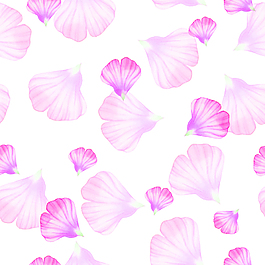 唯美的花瓣