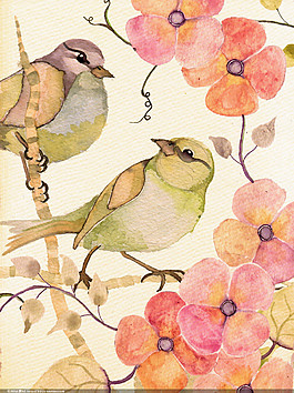 花枝上的2只小鸟插画图