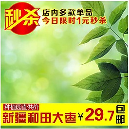 清爽清新主圖背景圖片