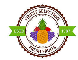 矢量水果菠蘿標(biāo)簽EPS