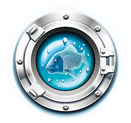 魚
