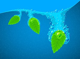清新綠葉湖泊背景