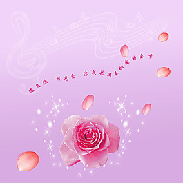 音樂符號背景五線譜玫瑰花花瓣淺紫色
