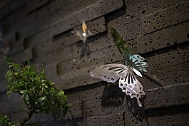 新中式家居墻壁效果圖