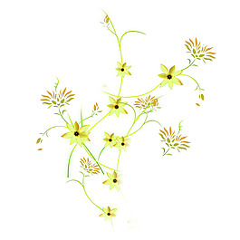 花紋花元素