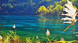 山水美景