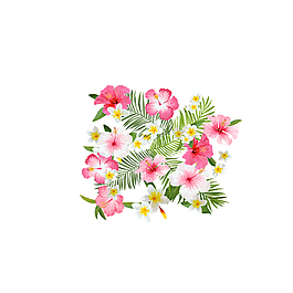 唯美粉色花朵