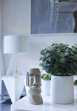 盆栽植物家裝效果圖