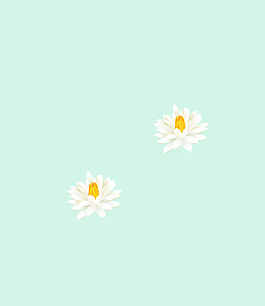 蓮花元素