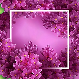 紫色花背景素材