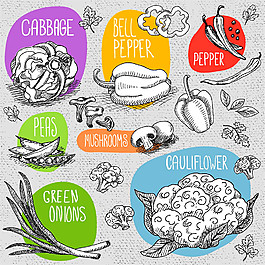 蔬菜素描插图图片1