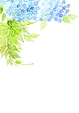 精美简约蓝色花朵展板背景