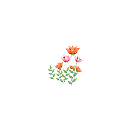 手繪花朵