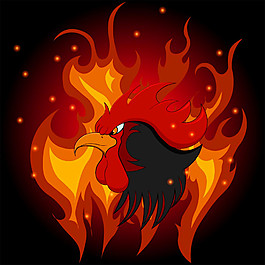 火焰大公雞圖片