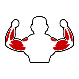 男性手臂肌肉圖片