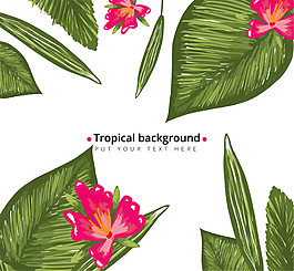 彩繪熱帶植物葉子花卉背景矢量素材