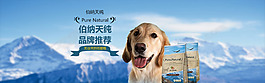 狗糧促銷海報(bào)