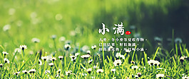 24节气-小满海报