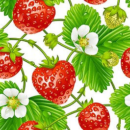 草莓綠色背景素材