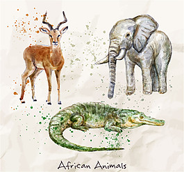 3種水彩繪非洲動物矢量素材