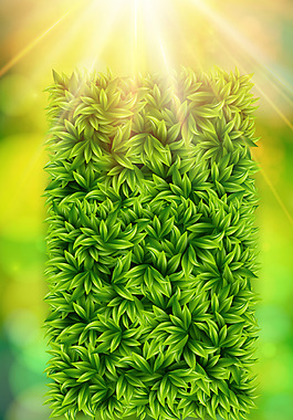 植物綠色背景