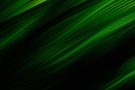 綠色動感流線圖片