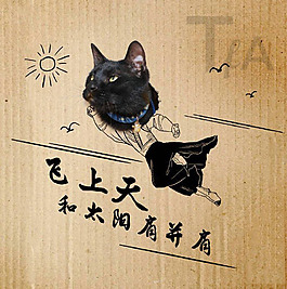 坦复安搞笑猫咪