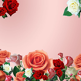 花朵玫瑰花花苞樹葉廣告粉色背景素材