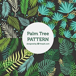 装饰性棕榈树叶的平面图案多样性