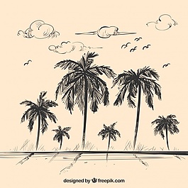 棕櫚樹風景寫生背景