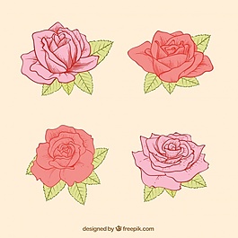 四朵玫瑰