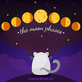 猫的背景与月亮的相位