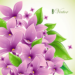 綠葉紫色花朵圖片