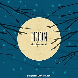 天空中有樹枝的月亮背景