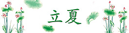 立夏荷花盛开banner