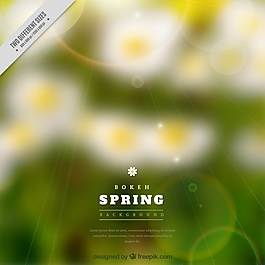 模糊的春天的背景