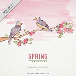 可愛(ài)的春天背景和鳥(niǎo)在樹(shù)枝上