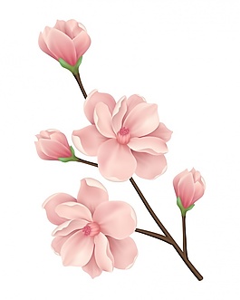 花的背景設(shè)計(jì)