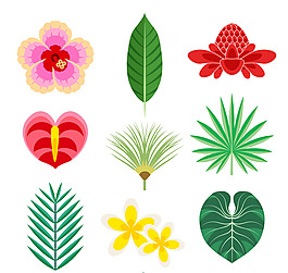 彩色热带花卉和叶子矢量