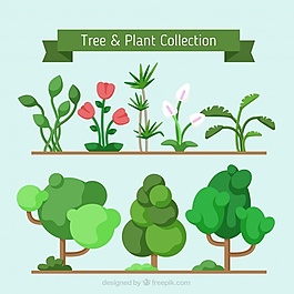 幾何樹和植物集