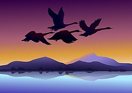 蓝色湖水大雁背景图