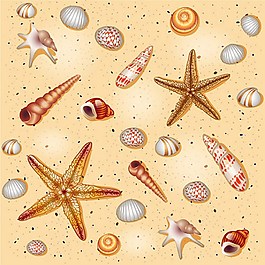 沙滩海洋生物贝壳矢量图