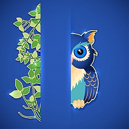 漂亮藍色啄木鳥背景圖