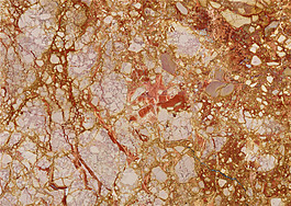 棕色大理石纹理图